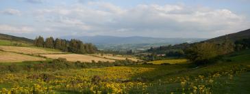 Tipperary Landscape image