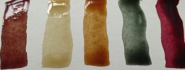 Image of botanical inks 