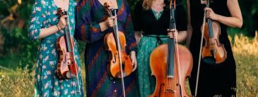 Image of the Quartet