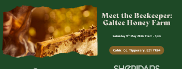 image of a honey comb