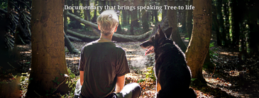 Image of a forest 