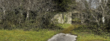 image of a path