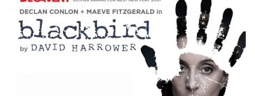 Blackbird poster image
