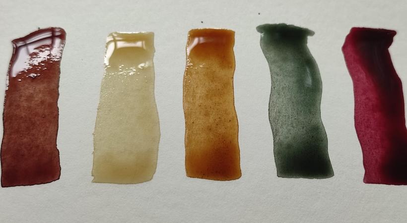 Image of botanical inks