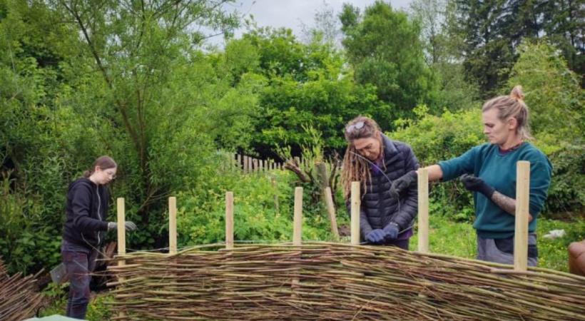 A woven Fence