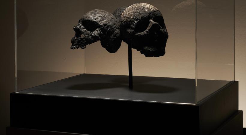 image of skulls 