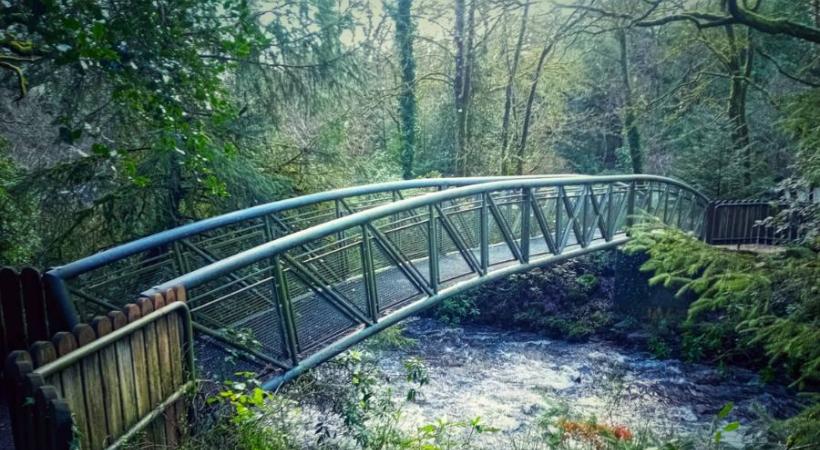 image of a bridge