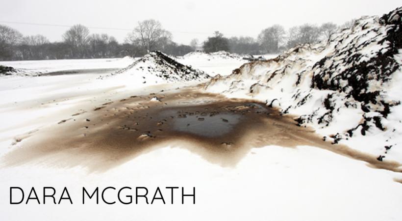 Dara McGrath website
